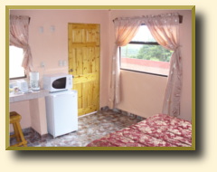 Papaya Room