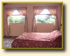 Papaya Room