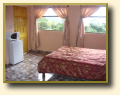 Papaya Room