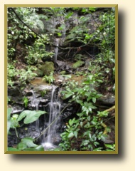 nature, Grecia Costa Rica